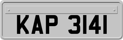 KAP3141