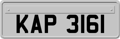 KAP3161