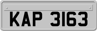KAP3163