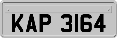 KAP3164