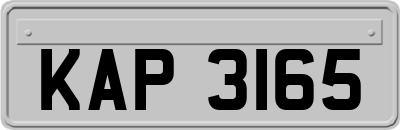 KAP3165