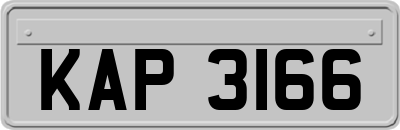 KAP3166