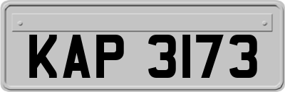 KAP3173