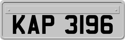 KAP3196