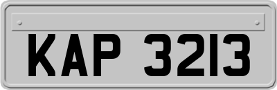 KAP3213