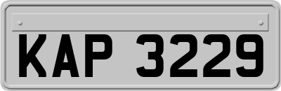 KAP3229