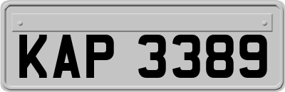 KAP3389