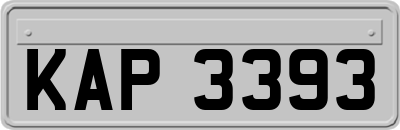 KAP3393