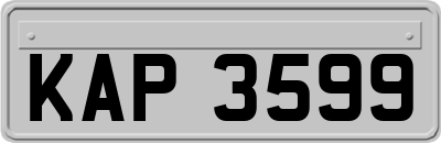 KAP3599