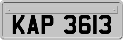 KAP3613