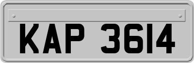 KAP3614
