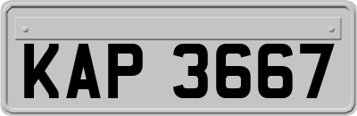 KAP3667