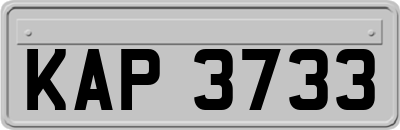 KAP3733