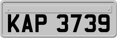 KAP3739