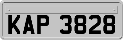 KAP3828