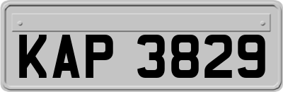 KAP3829