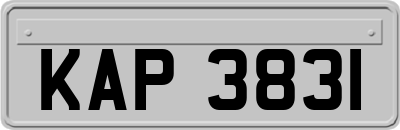 KAP3831