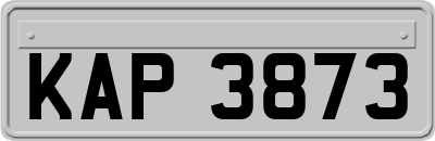 KAP3873