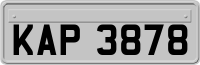 KAP3878