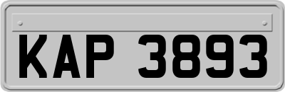 KAP3893