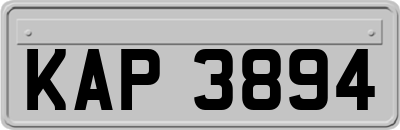 KAP3894