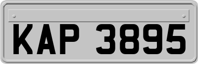 KAP3895