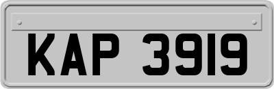 KAP3919