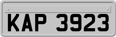 KAP3923