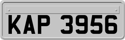 KAP3956