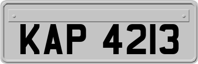 KAP4213