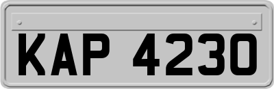 KAP4230