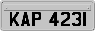KAP4231