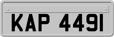 KAP4491