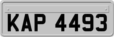 KAP4493