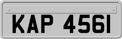KAP4561