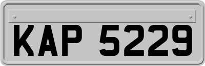 KAP5229