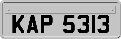 KAP5313