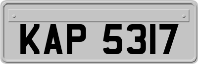 KAP5317