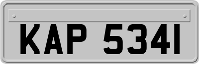 KAP5341
