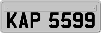 KAP5599