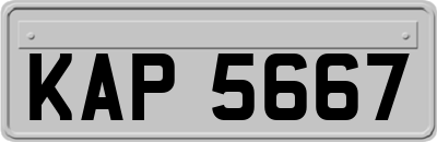 KAP5667