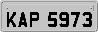 KAP5973