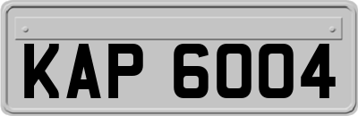 KAP6004
