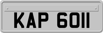 KAP6011