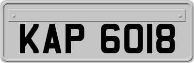 KAP6018