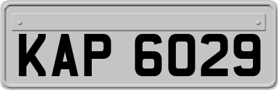 KAP6029