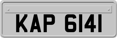 KAP6141