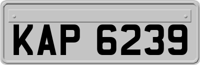 KAP6239
