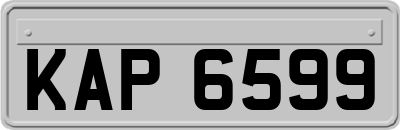 KAP6599