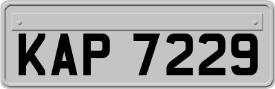 KAP7229